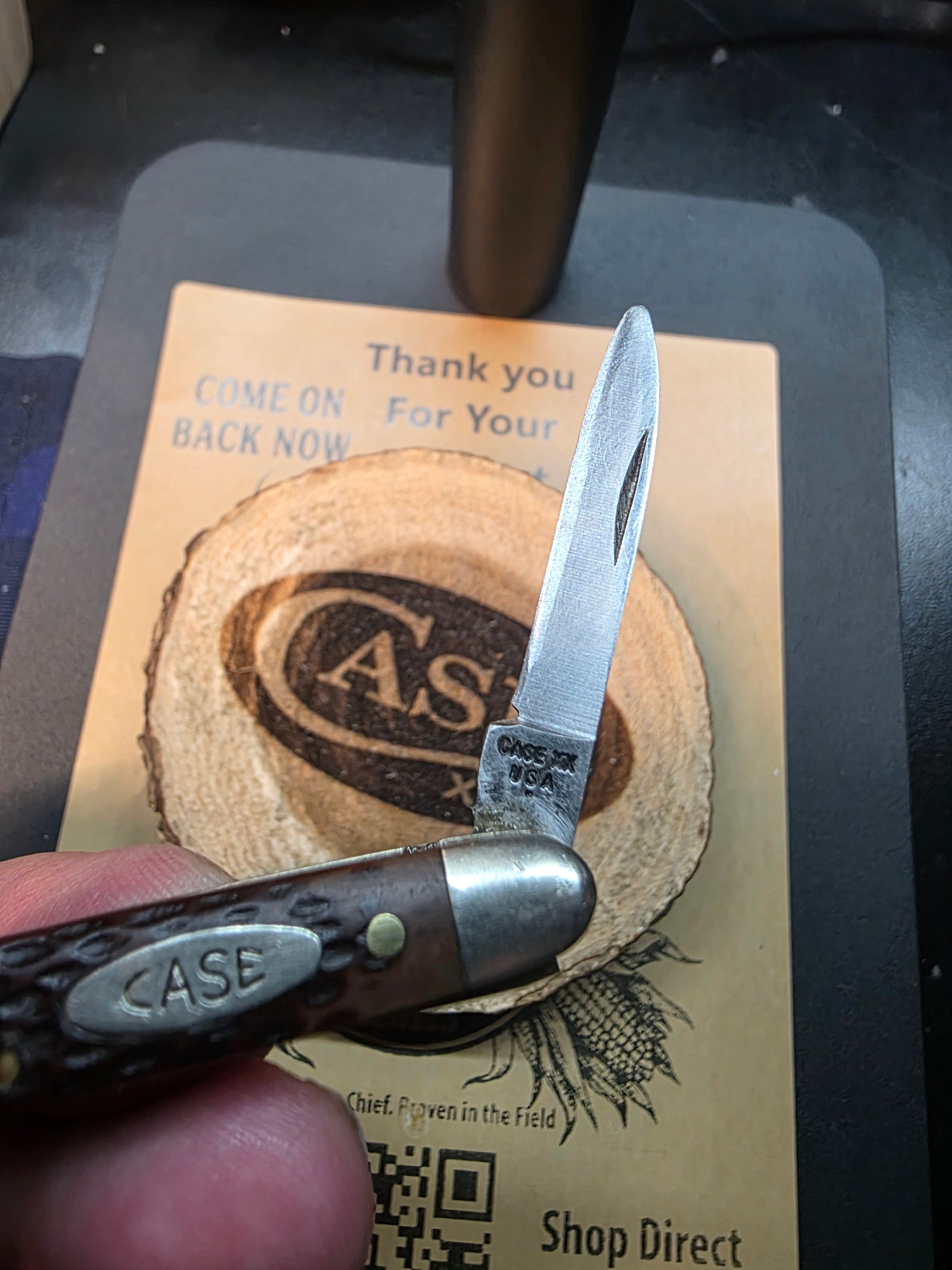Case XX 1999 Jigged Brown Bone 6201 R Pocket Knife with Bail