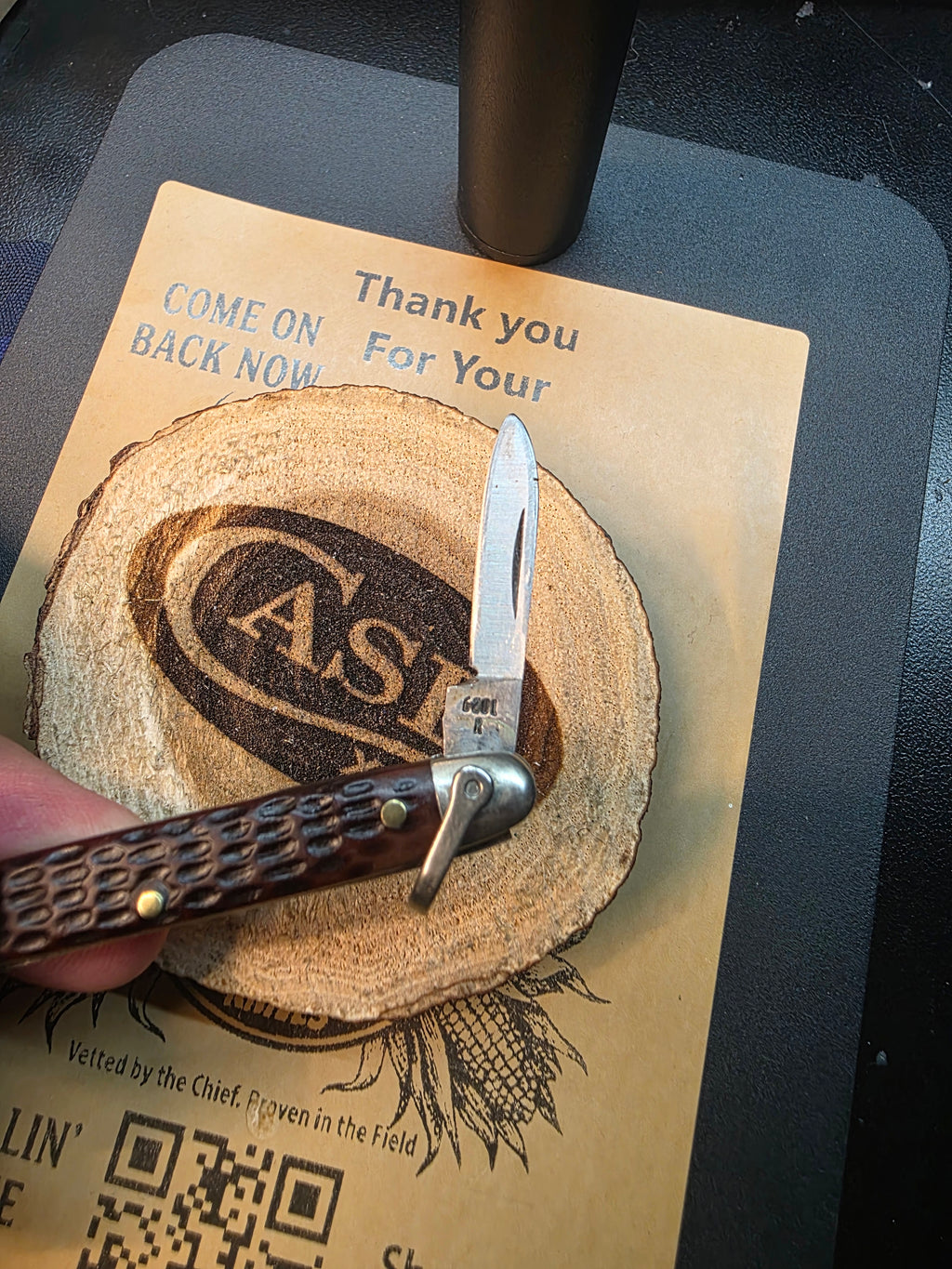 Case XX 1999 Jigged Brown Bone 6201 R Pocket Knife with Bail