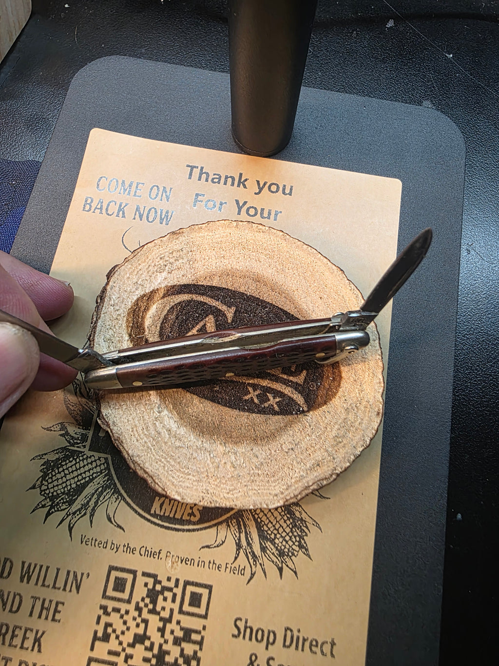 Case XX 1999 Jigged Brown Bone 6201 R Pocket Knife with Bail