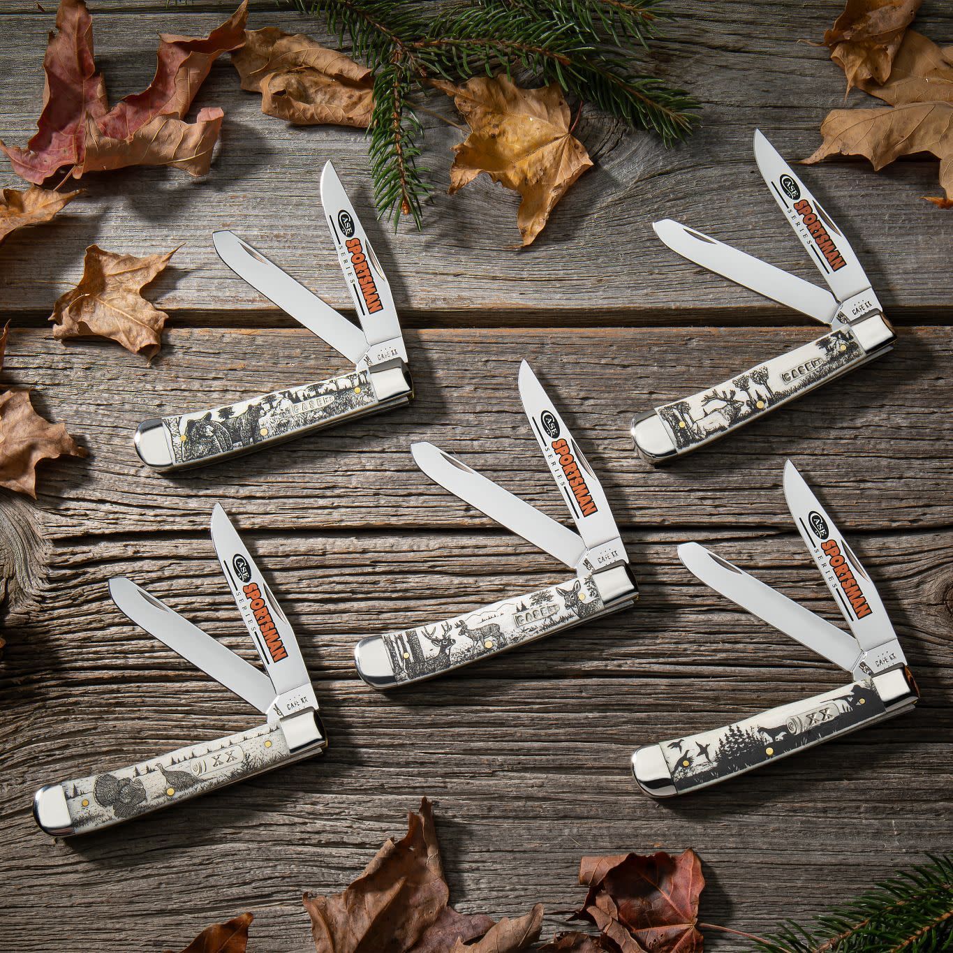 Case Bear Sportsman Trapper - Wildlife Engraved Traditional Folder