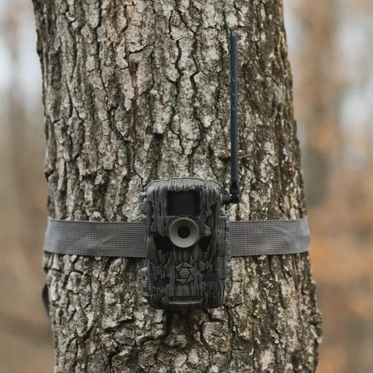 StealthCam Fusion Max Trail Camera 36MP 2/Pack