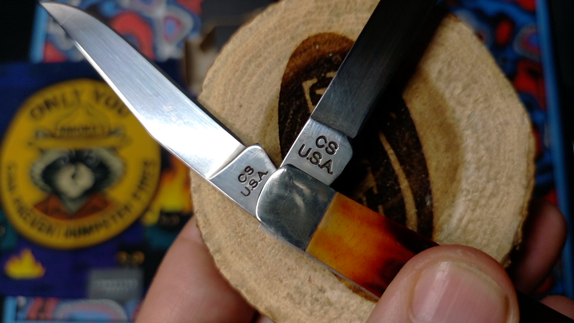 Bear & Son CRSB07 Dual-Blade Mini Folder - Red Stag Bone (NIB)