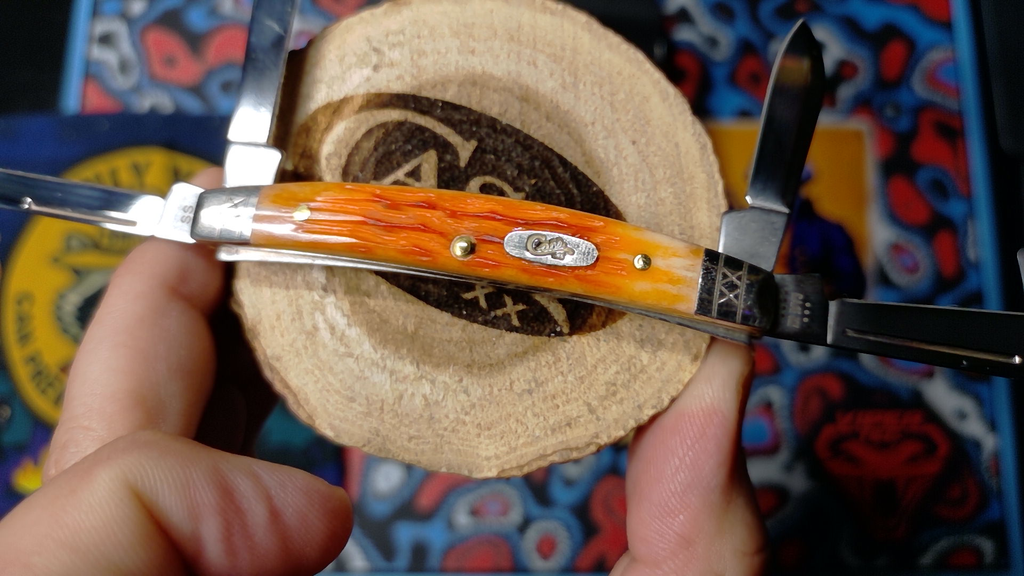 Case 2024 Small Congress  VAULT PATTERN CAYENNE BONE! NIB. Crandall Jigged handle, XX engraved bolsters. 4 Mirror Tru-Sharp Blades: Sheepsfoot, Spear, Pen, Coping. USA Rarity.