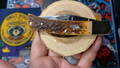 Case XX CA10799 Traditional Folder - Peach Seed Jigged Amber Bone (NIB)