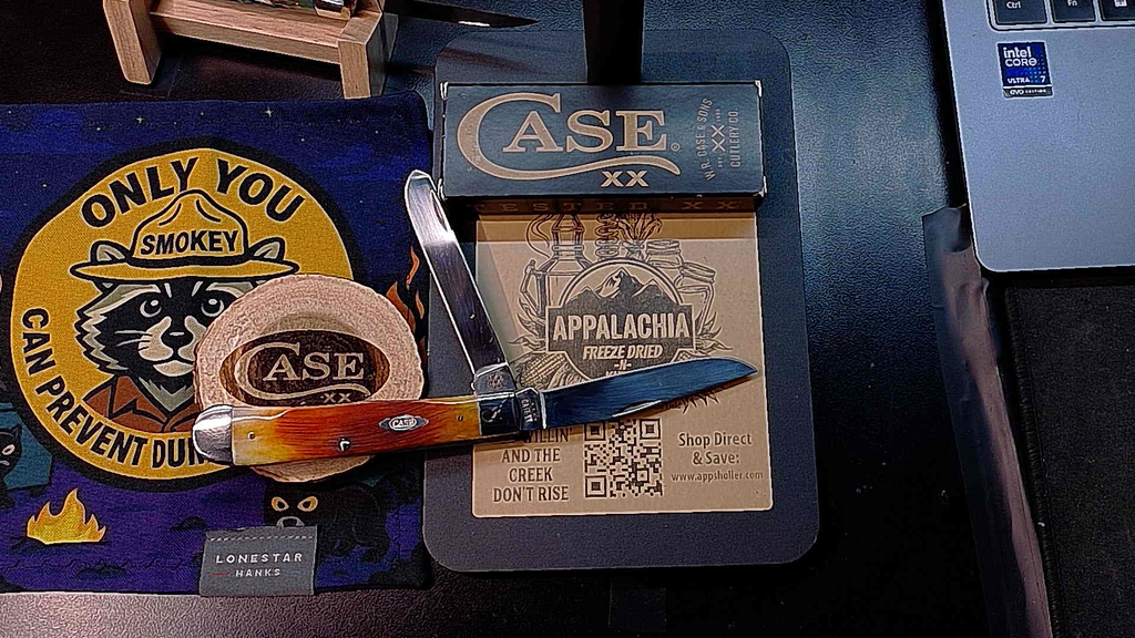 🦴 Case XX CA19893 Pumpkin Spice Sawcut Bone Traditional Trapper Folder (NIB