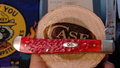 Case XX 2019 Slimline Trapper Dark Red Jigged Bone Pocket Tool 61048 CV
